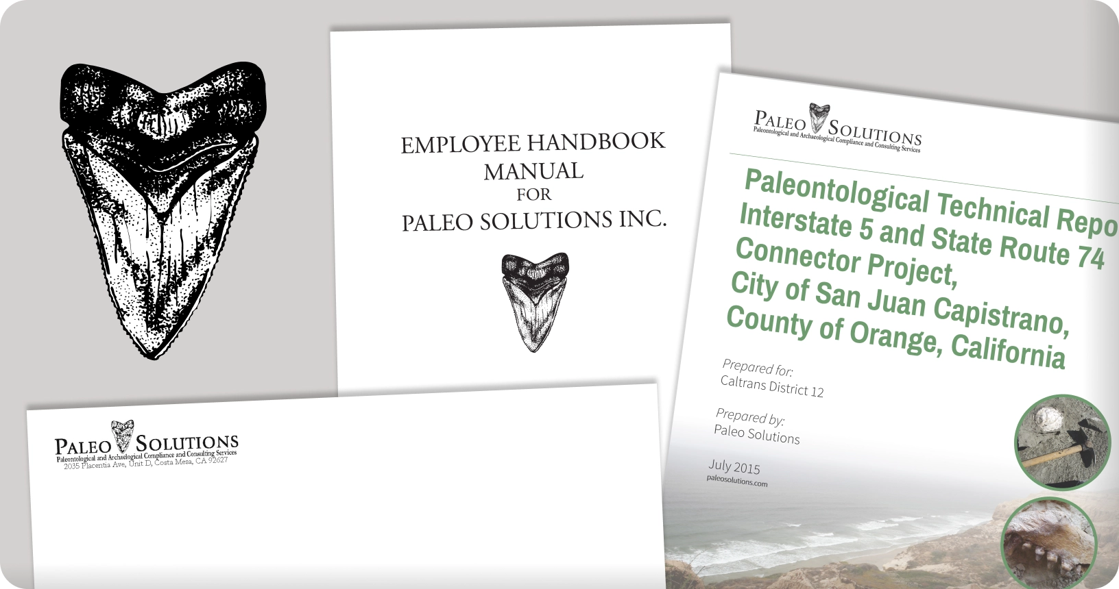 The original Paleo Solutions logo was a hand-drawn Megalodon tooth with a scientific illustration style by designer Keira Dooley.