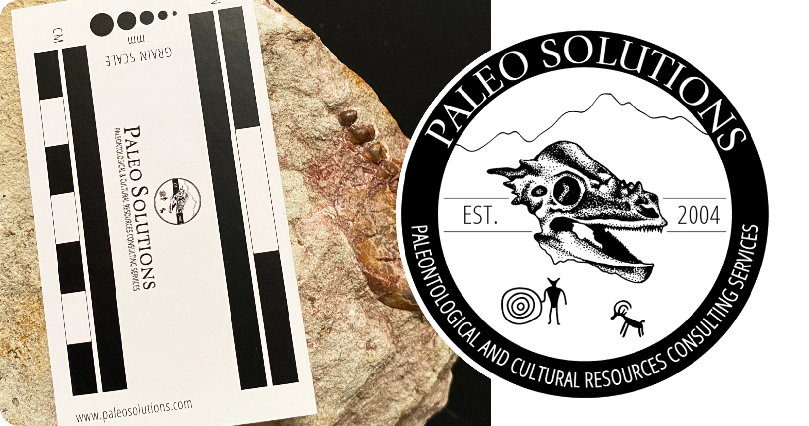 Paleo Solutions logo and a photo of a business card with the logo printed on it